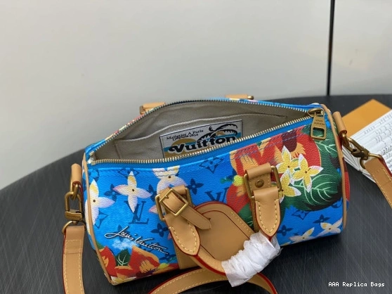 Aaa replica bags SPEEDY Vuitton 25 Louis 0825